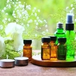 【本日の出勤情報】です