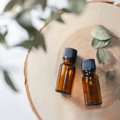 本日の出勤情報です