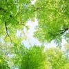 どんな女性が働いているの？のサムネイル