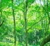 連日大盛況！多くのリピーターさんを抱えています♫のサムネイル