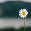 送迎あり⭐️セラピストさん募集中です✨のサムネイル