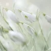 4月入店の方⭐️一日体験で最大5万円もらえる✨のサムネイル