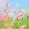 女性講師が丁寧な指導⭐️初めての方も大歓迎です✨のサムネイル