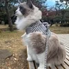✧新人スタッフ O です✧のサムネイル
