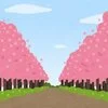桜満開のサムネイル