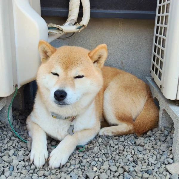 さわやか日曜日☀