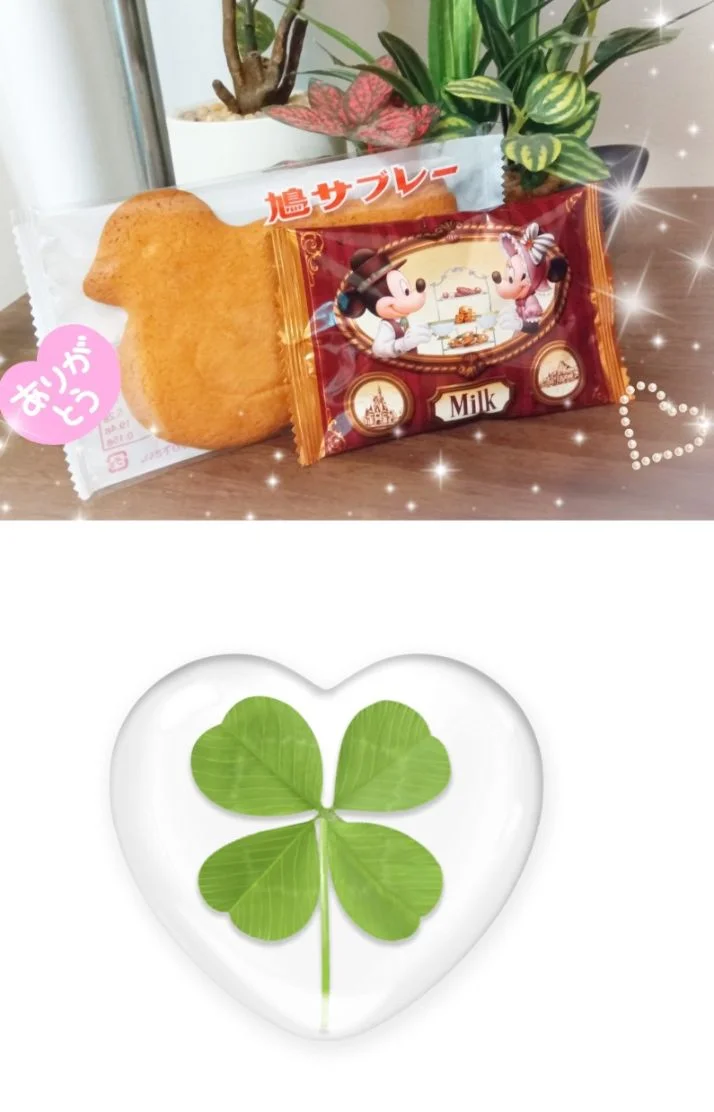 10/2㈮20:00〜本指名Y様🍀