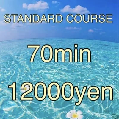 STANDARD COURSE STANDARD COURSE