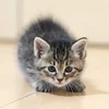 セラピストさん急募✨経験者・未経験者大歓迎🌿のサムネイル