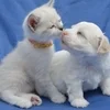 🎀未経験から稼げる個室サロンのセラピスト募集✨のサムネイル