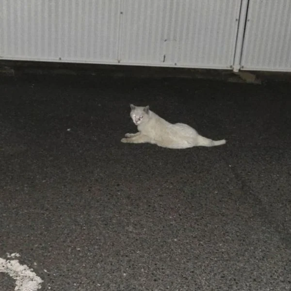 癒し発見👀✨