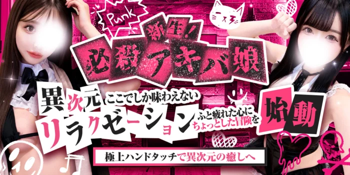 必殺アキバ娘　錦糸町ルーム