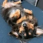 採用担当のイメージです 採用担当のイメージです