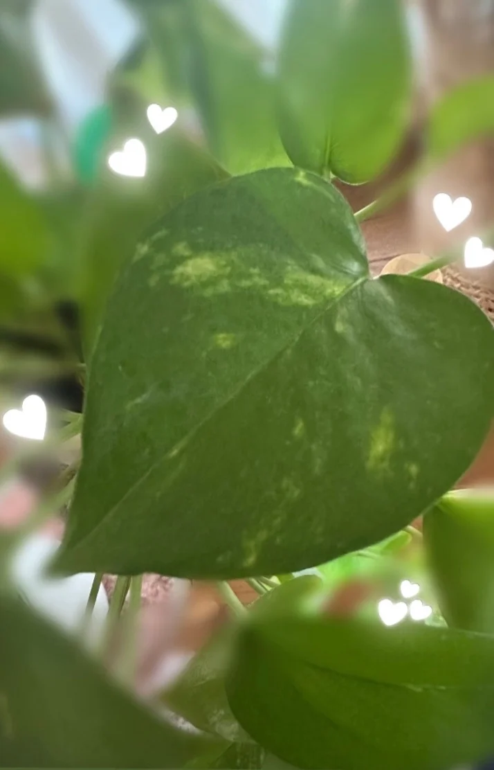 本日(水)出勤(ง •̀ω•́)ง✧