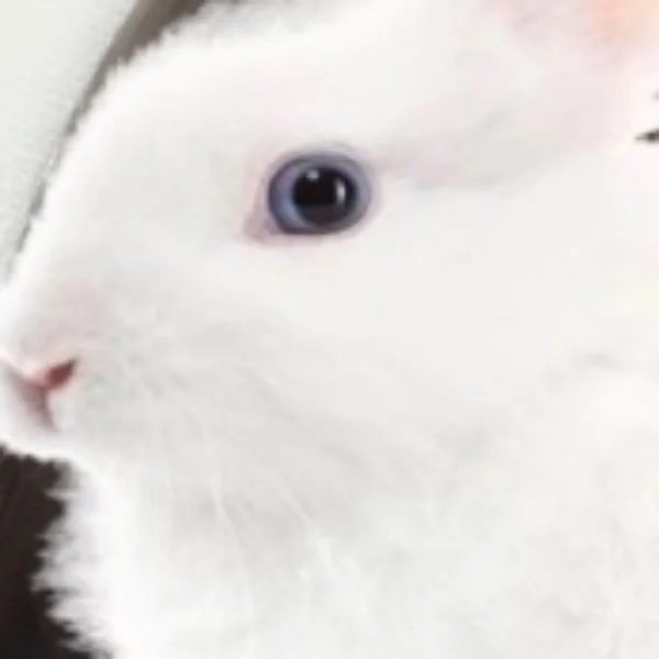 始めてみましたよ
