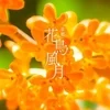 花鳥風月