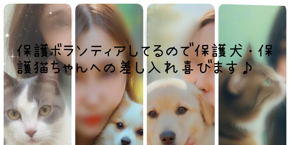 freestyle (個人店)のカバー画像