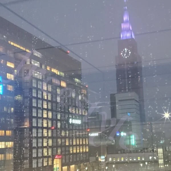 SMプレイの写真