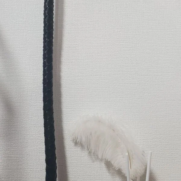鞭のインテリア。