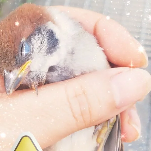 最悪😞⤵️⤵️