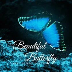 Beautiful Butterfly