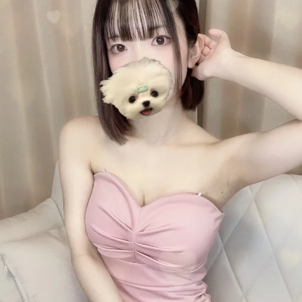 出勤したよっ!
