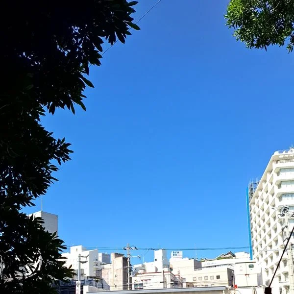 こんなに