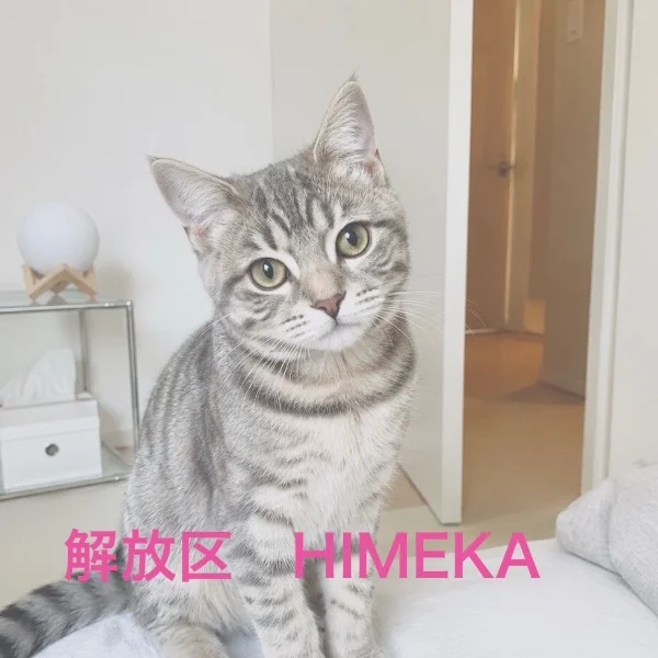 ありがとうございました♡