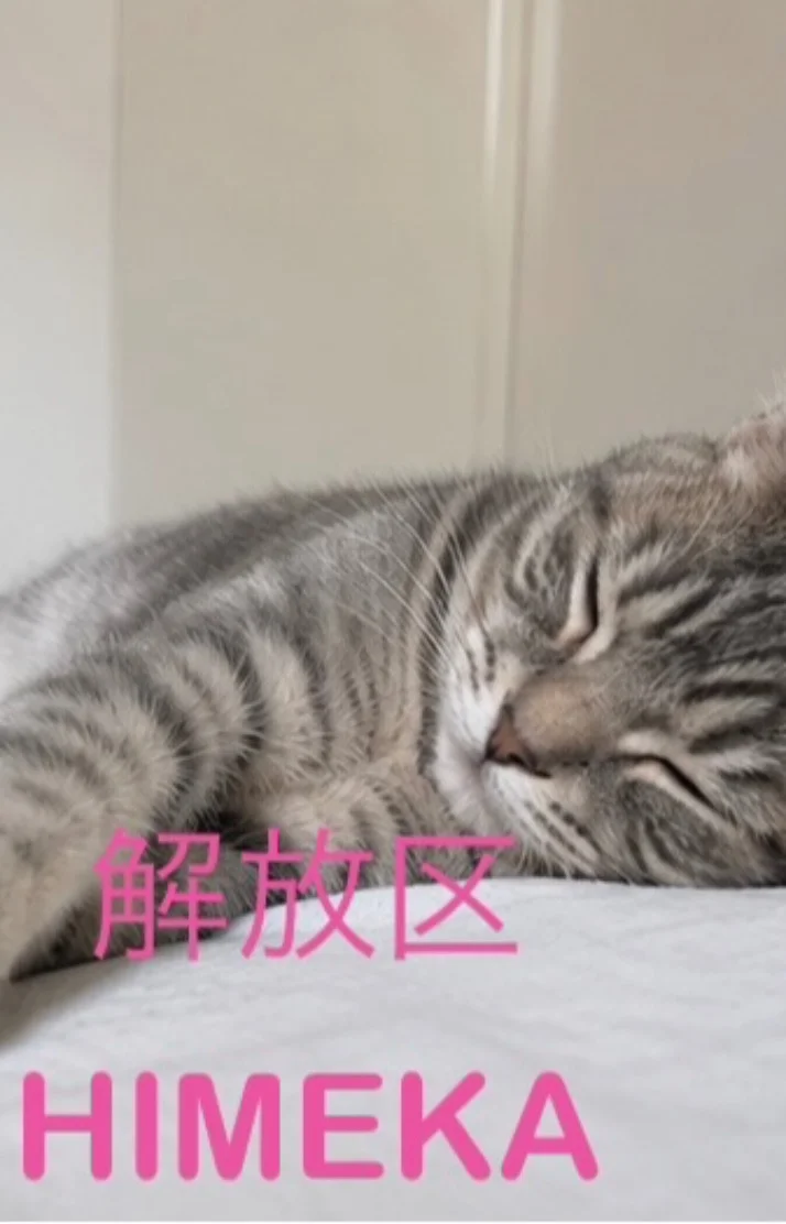 ご指名有難うございます🥺🩷