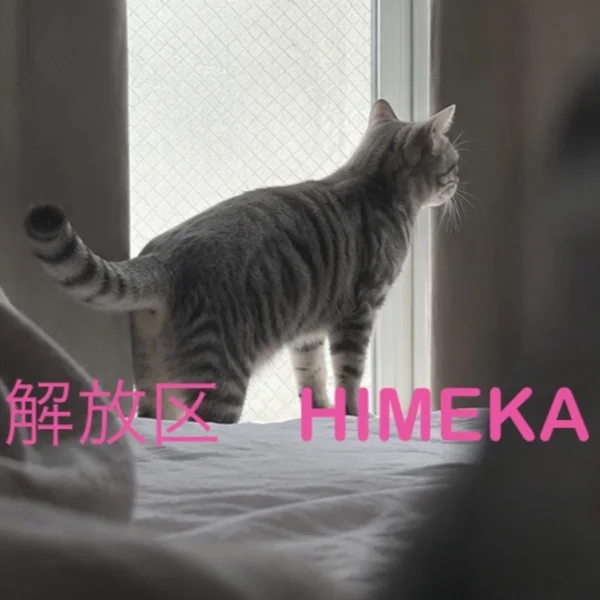 眠れない？🥺