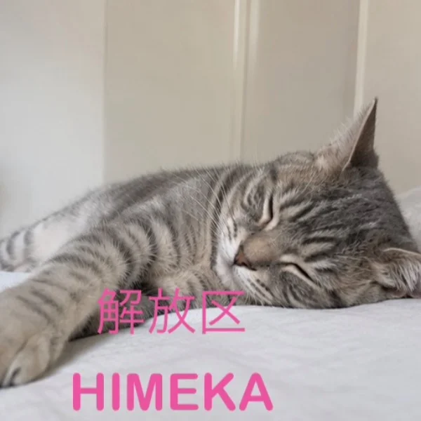 退勤します♡🐱