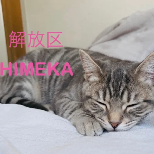 ありがとうございます♡