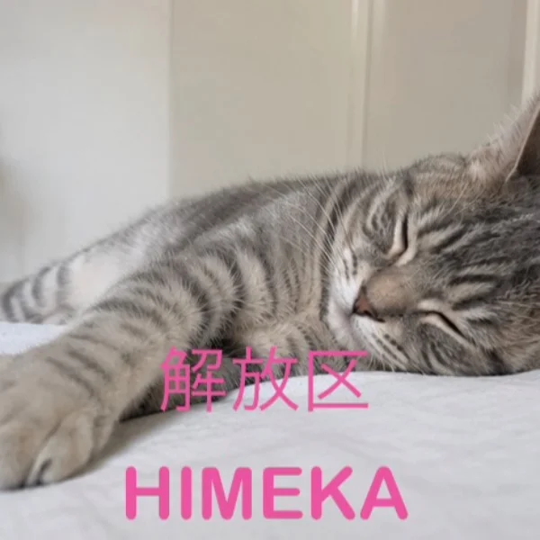 ありがとうございました😴💞