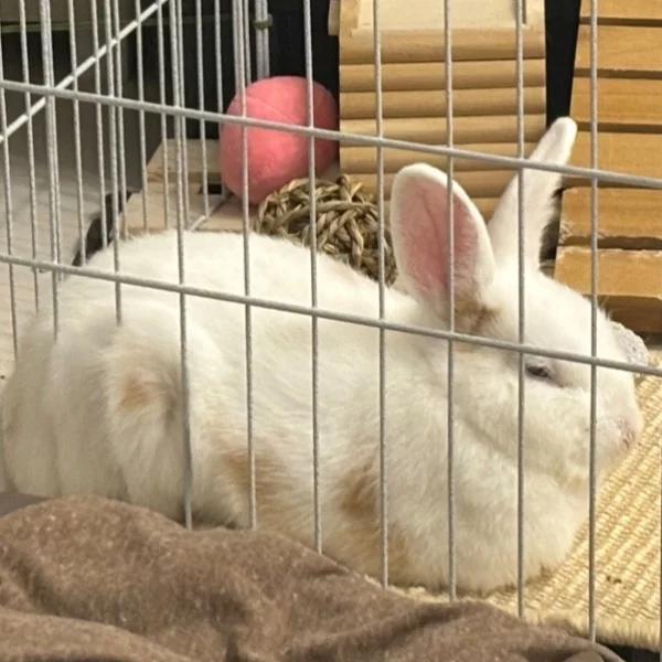 今日明日はお休みです❤️