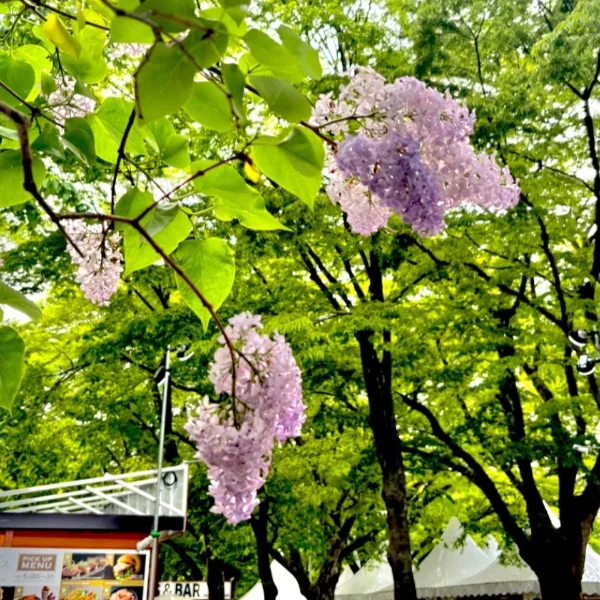 今日います❤️