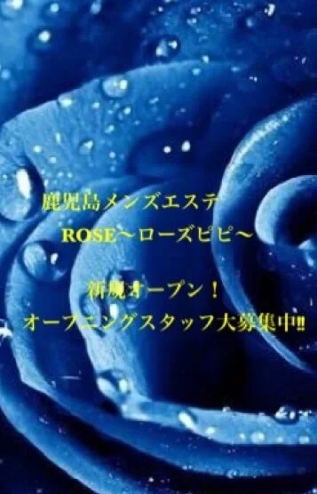 新規オープン!