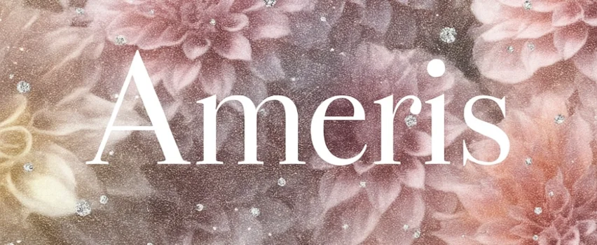 Amerisの求人募集イメージ