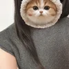 こころ