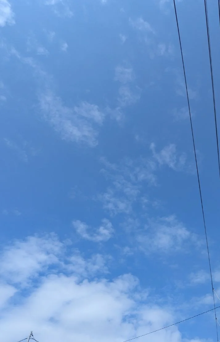 好かれてる？