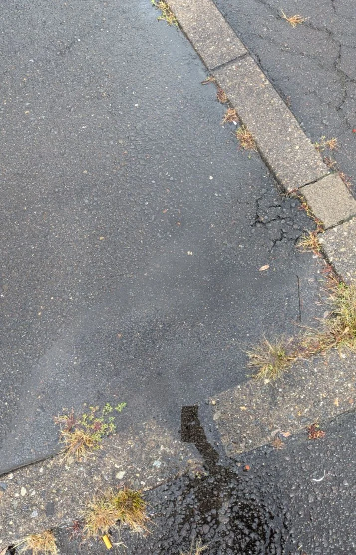 落ちてる