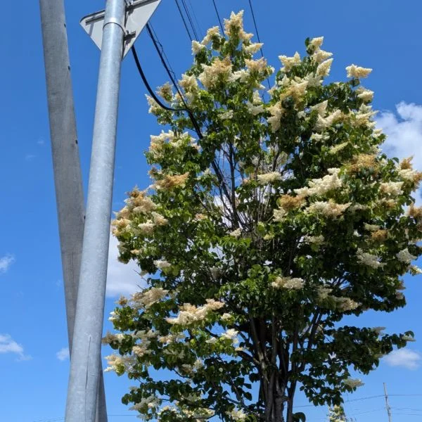 どこかな？