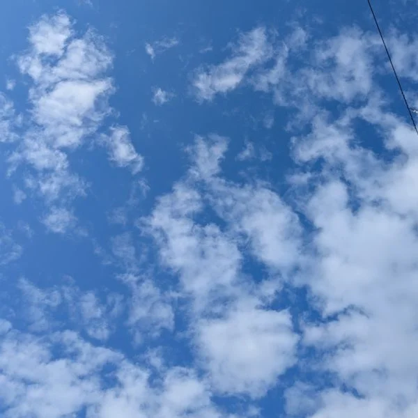 晴れていても