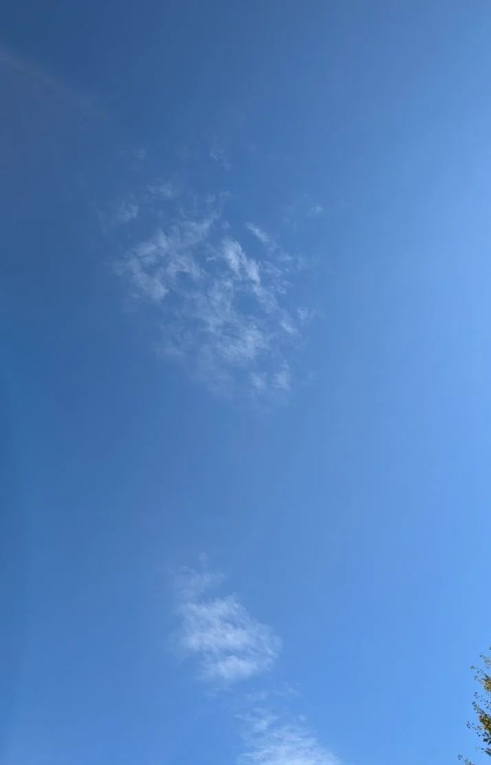 とうとう