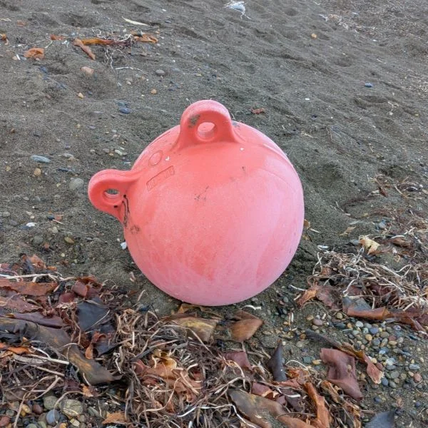何に見えるかな？