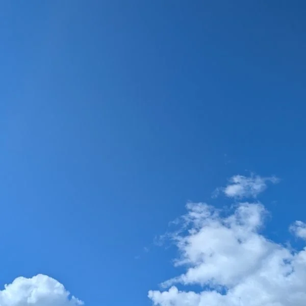 短めに