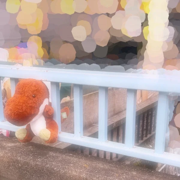 🐸雨多いね⸝⸝꙳