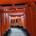 採用担当のイメージです 採用担当のイメージです