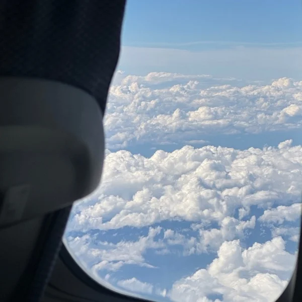 今日もありがとうございます！