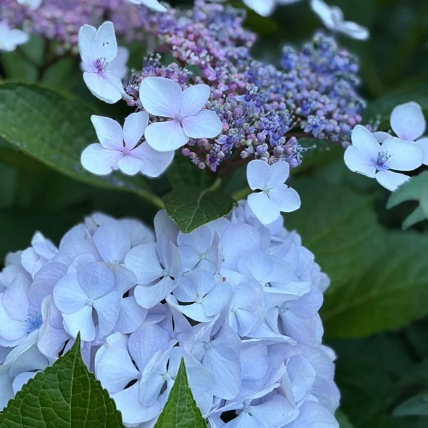 こんにちは💠🫧