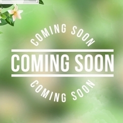 至福の時間へ。超一流のセラピスト紹介